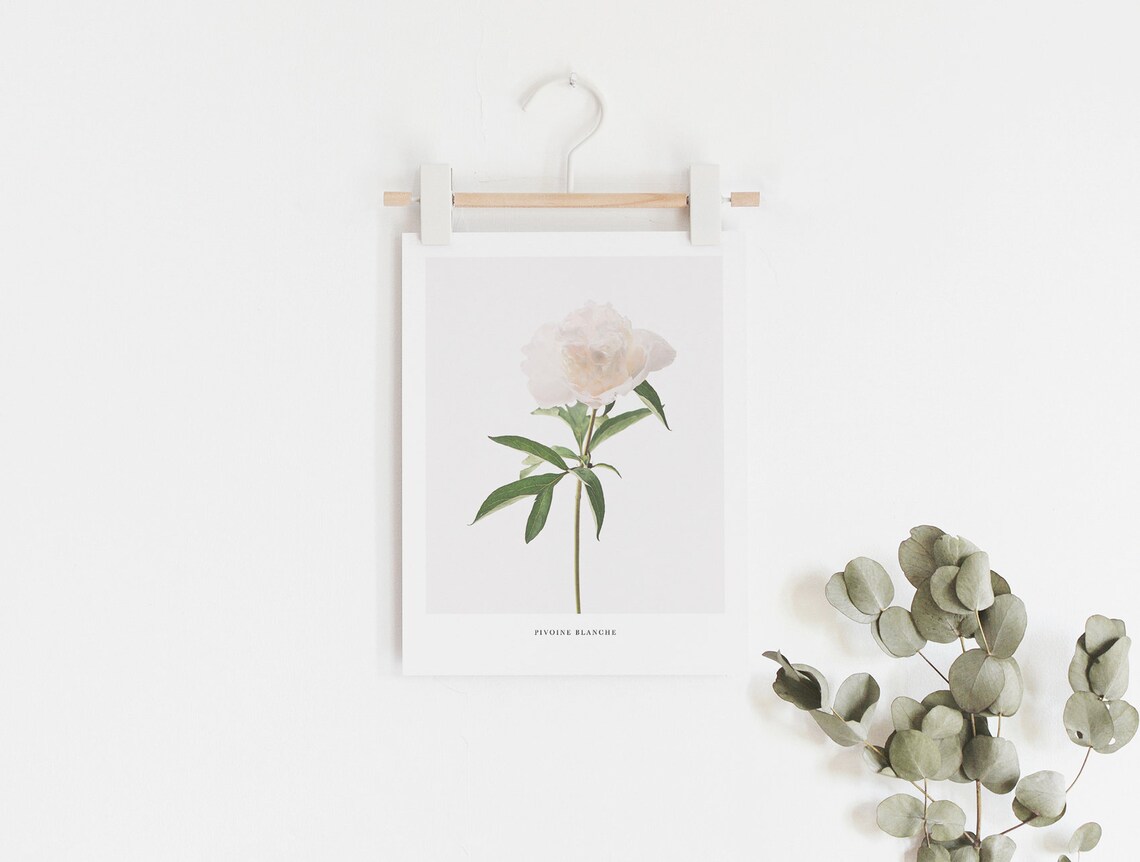 Peony Print, Minimal Botanical Art Print - Image 3