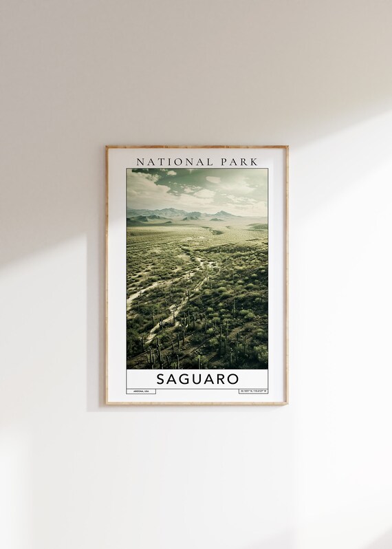 Saguaro National Park Arizona Desert Cactus Landscape Travel Poster