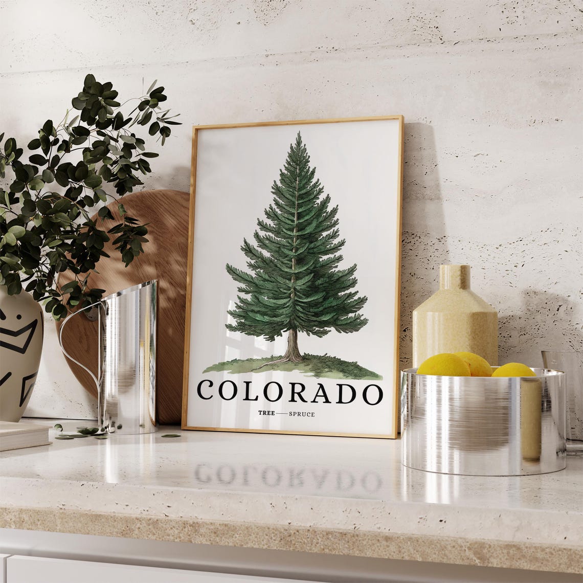 Colorado Spruce Tree Botanical Minimalist Western State Symbol Poster - Image 3