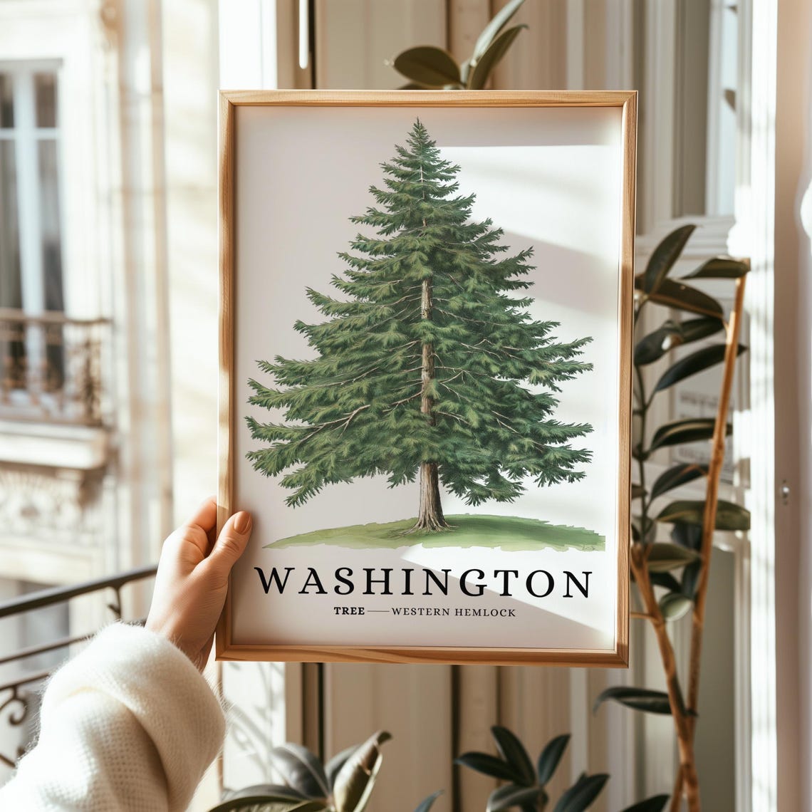 Washington Western Hemlock Tree Botanical Northwest State Poster - Image 2