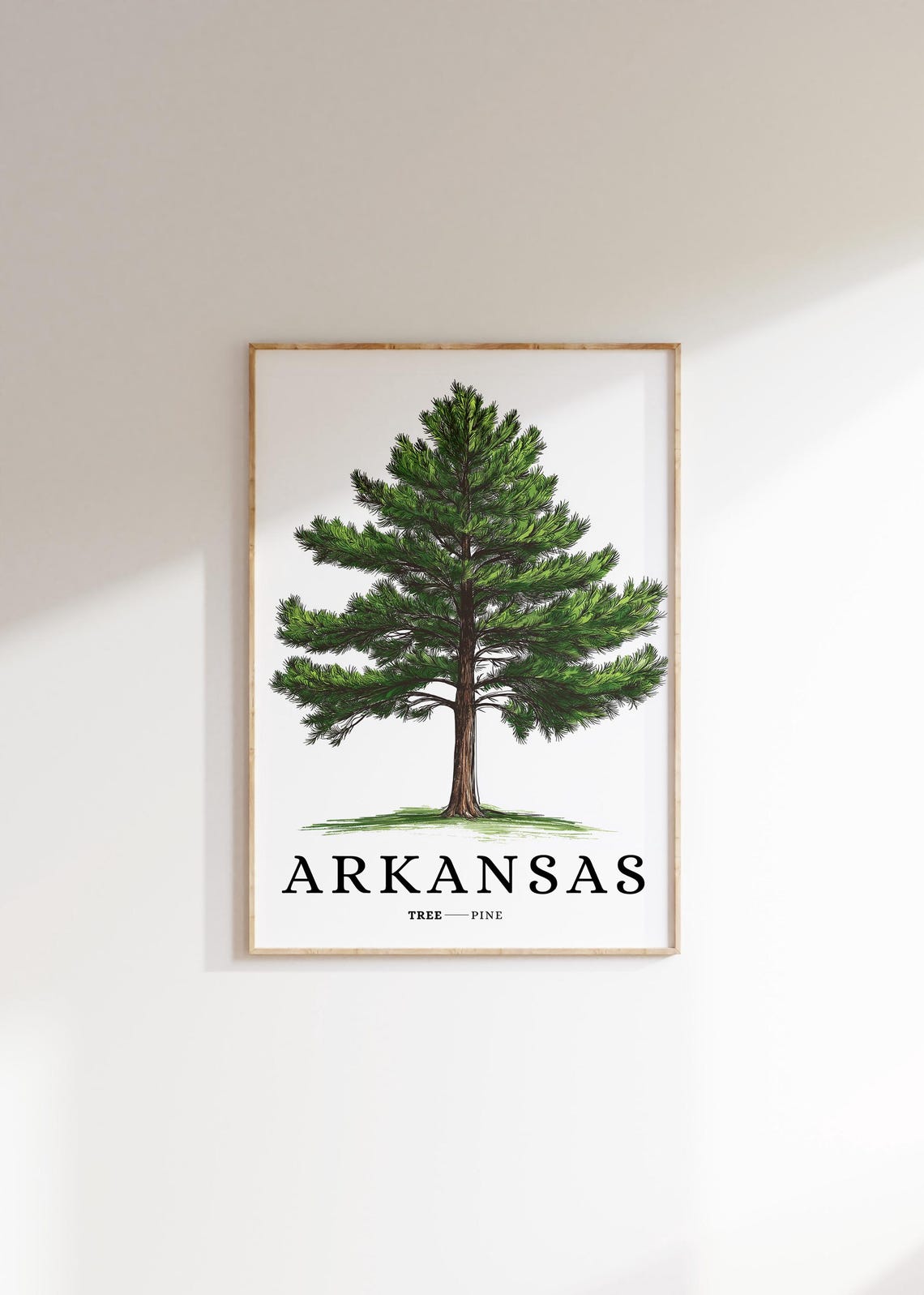Arkansas Pine Tree Botanical Minimalist Southern State Symbol Poster