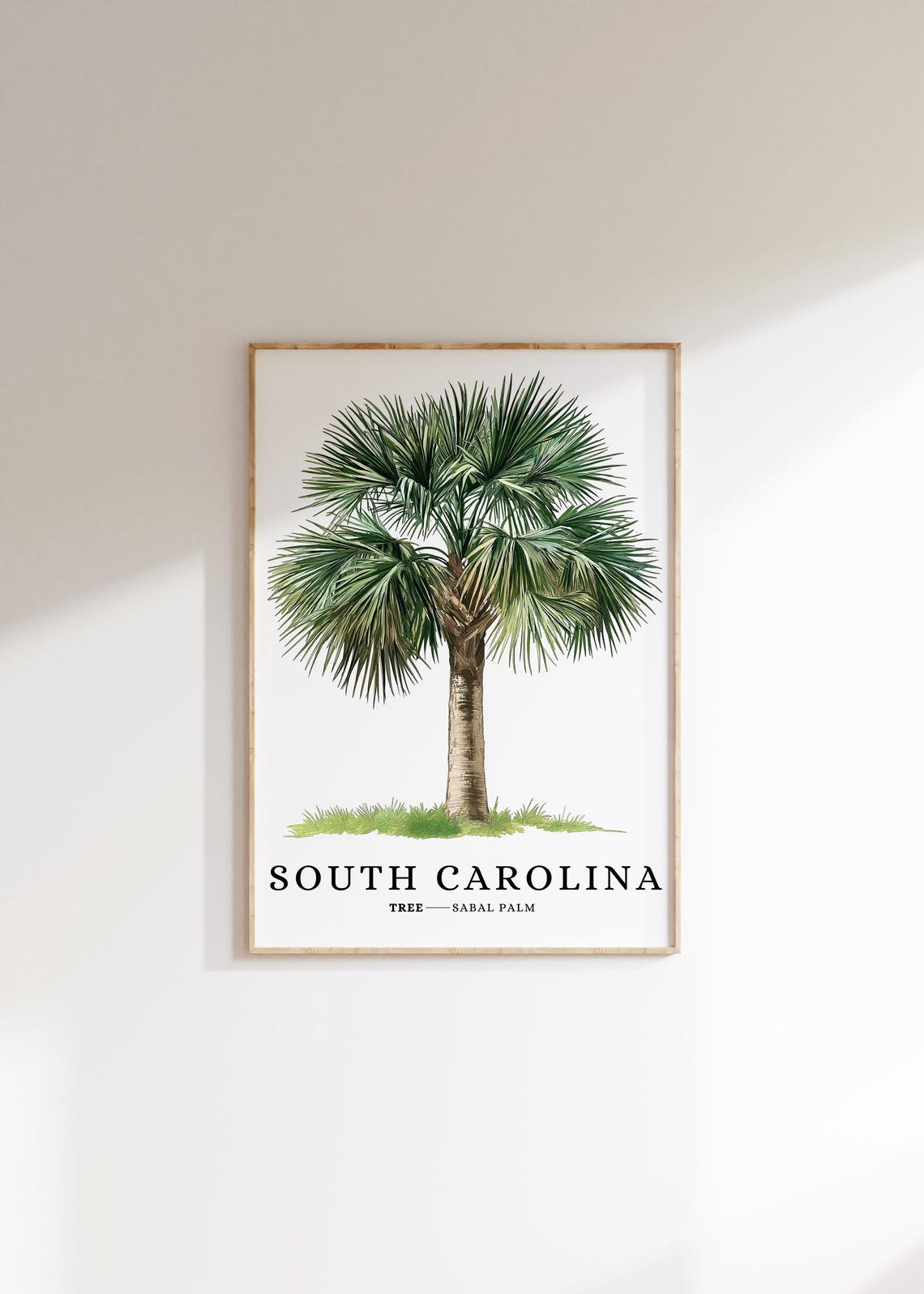 South Carolina Sabal Palm Tree Botanical Coastal State Symbol Poster