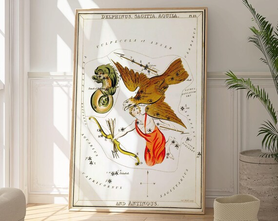 Delphinus Sagitta Aquila Antinous Constellation Celestial Chart Poster