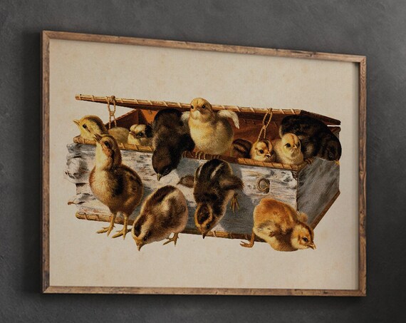 Funny Chicks Poster Print Animal Art Wall Decor College Dorm
