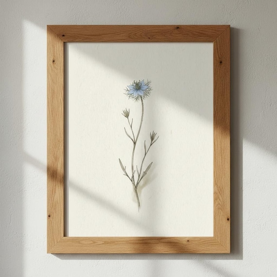Love in a Mist Nigella Blue Flower Cottage Wildflower Poster