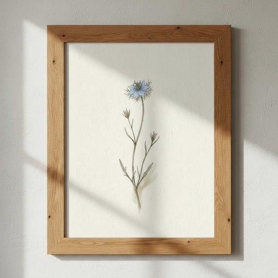 Loveinamist Botanical Print Cottage Garden Nigella Illustration
