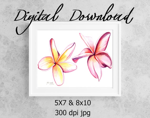 Plumeria Flowers Print Wall Art Art Poster Art Diy Prints Hawaii Plumeria Decor Frangipani Aloha Flower