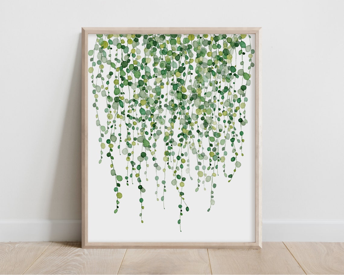 String of Pearls Succulent Watercolor Trailing Vine Botanical Poster