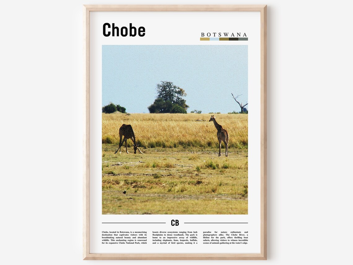 Chobe Minimal Travel Poster, Oil Painting