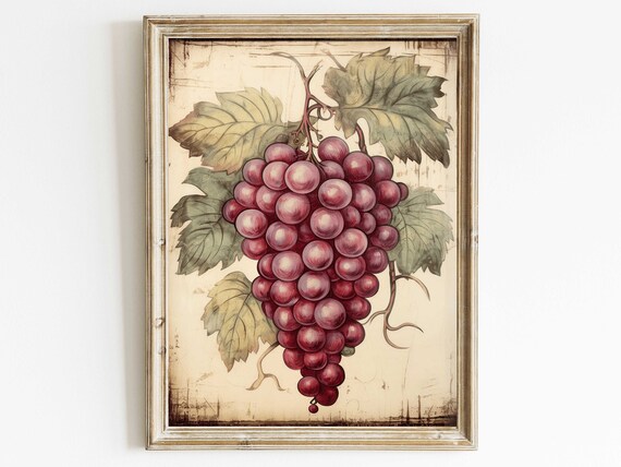 Cluster Of Red Grapes With Vine Leaves Vintage Botanical Fruit Print