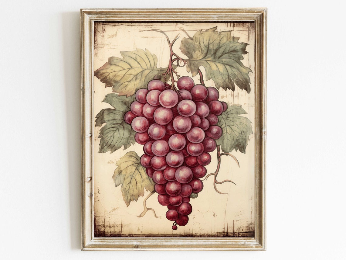 Cluster Of Red Grapes With Vine Leaves Vintage Botanical Fruit Print