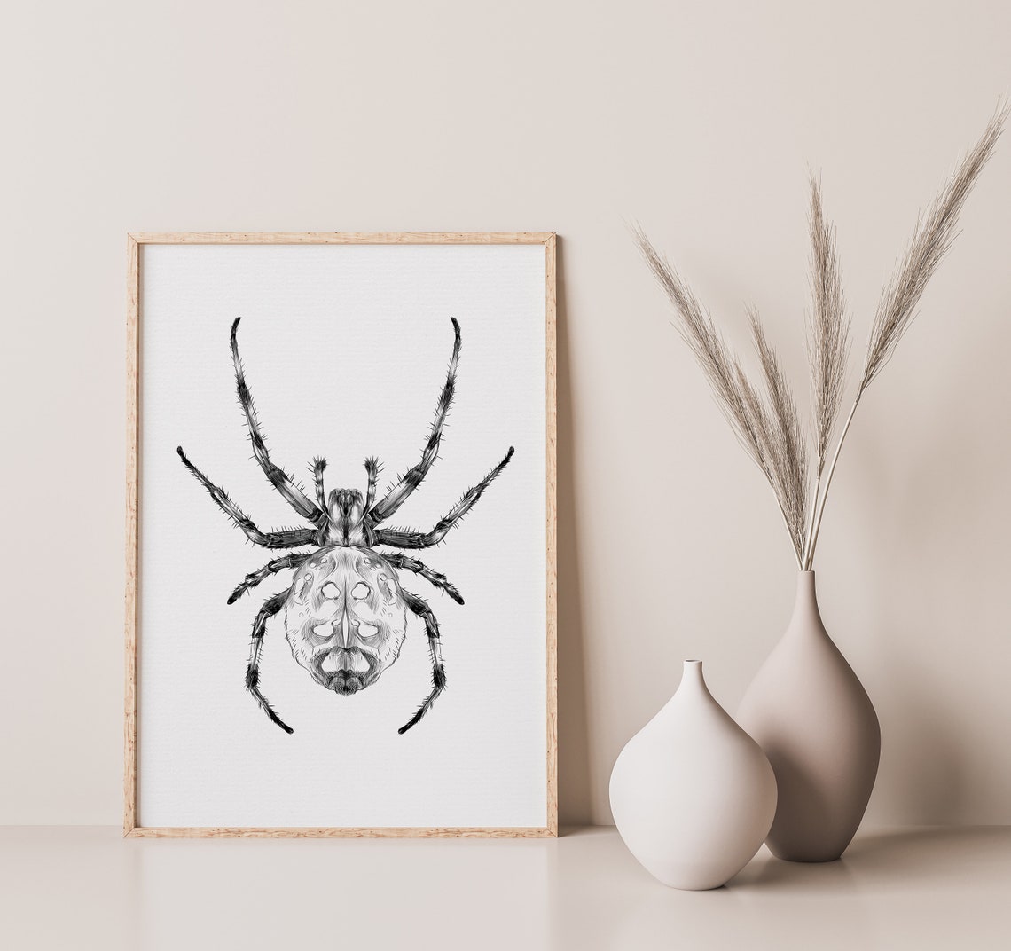 Hairy Garden Spider Sketch Black and White Nature Study Poster - Image 2