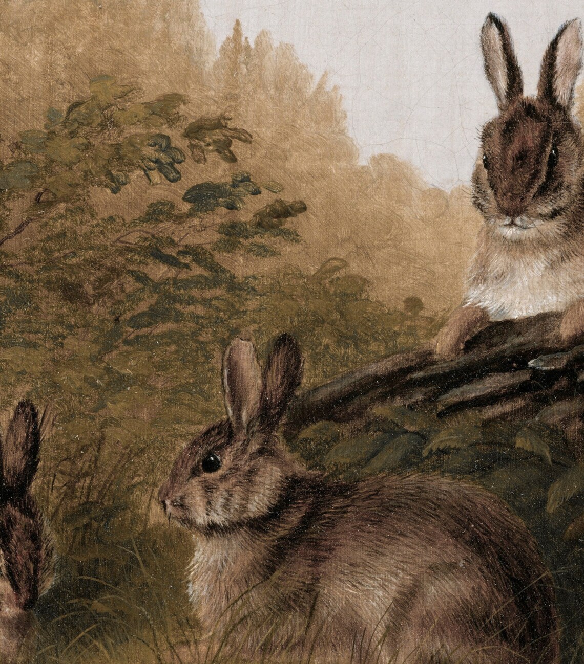 Three Woodland Rabbits Vintage Forest Wildlife Painting Poster - Image 4