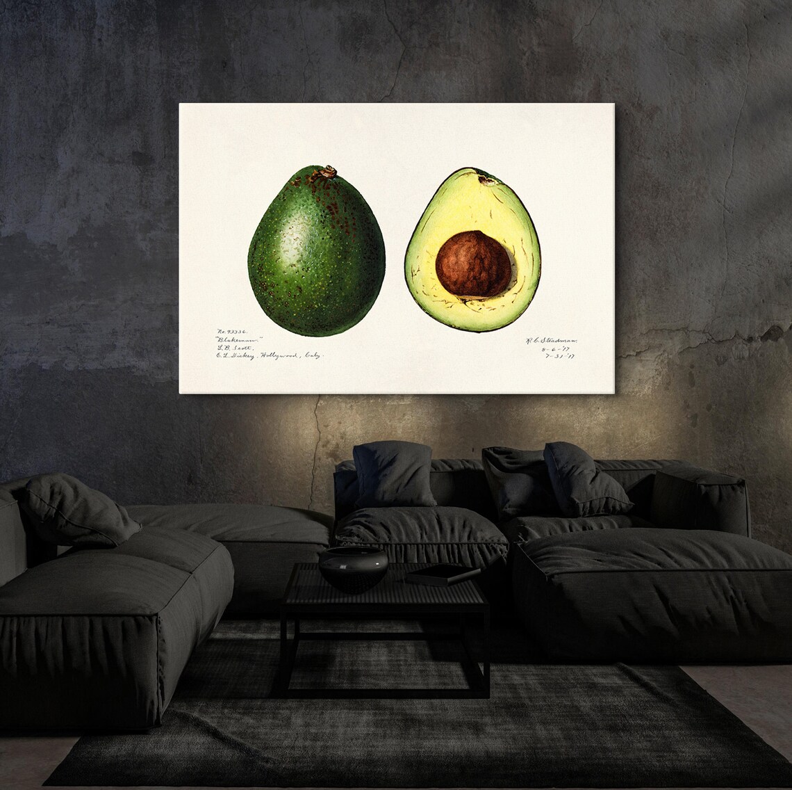Charles Steadman Vintage Avocado Botanical Print - Image 4