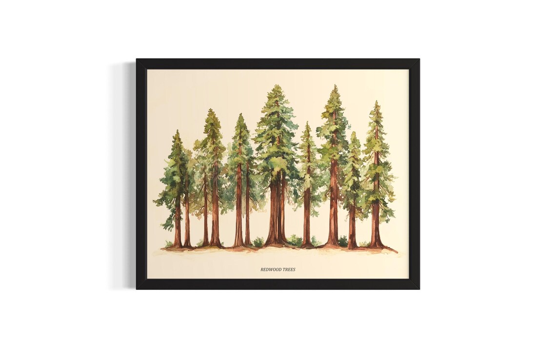Redwood Giant Trees Watercolor Forest Botanical Nature Art Poster