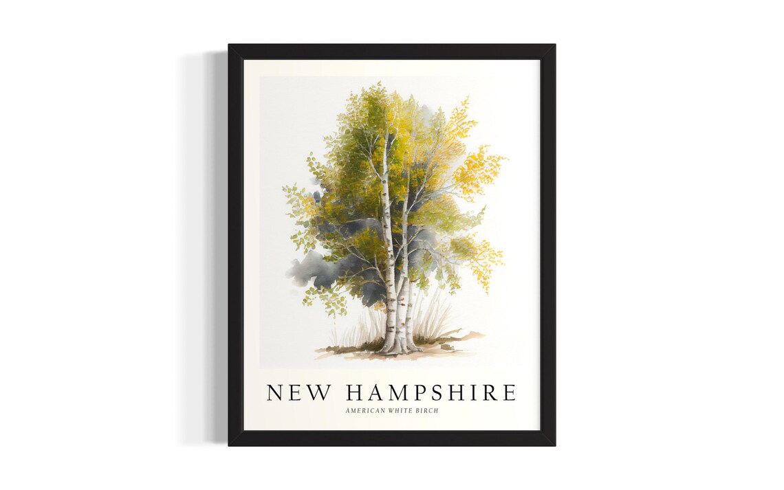 New Hampshire American White Birch Watercolor Botanical Tree Poster