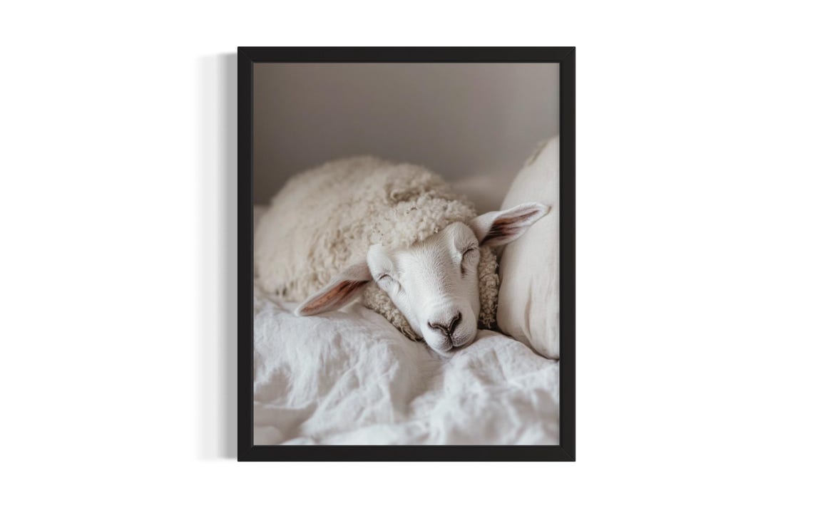 Sleeping Sheep Resting on White Bedding Farmhouse Vintage Poster