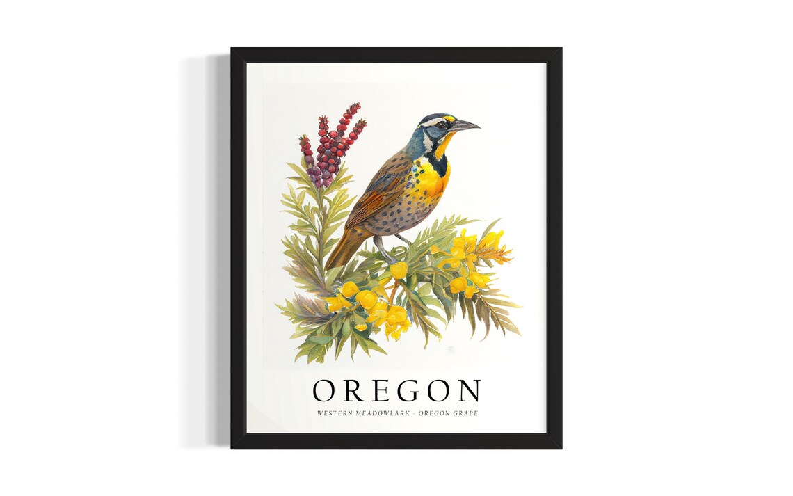 Western Meadowlark Bird Oregon Grape Flower Watercolor Poster