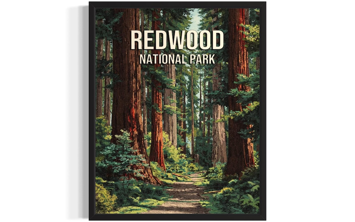 Redwood National Park Forest Trail Among Giant Trees Vintage Poster