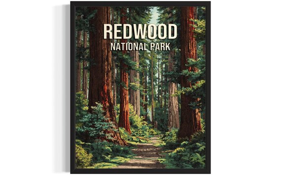 Redwood National Park Forest Trail Among Giant Trees Vintage Poster