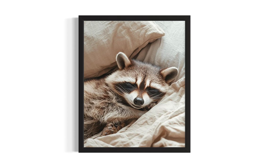 Raccoon Sleeping Peacefully on Beige Bedding Cozy Vintage Poster