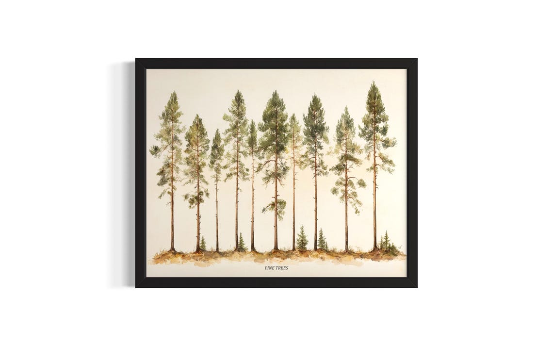 Pine Trees Row Watercolor Botanical Evergreen Forest Wall Art