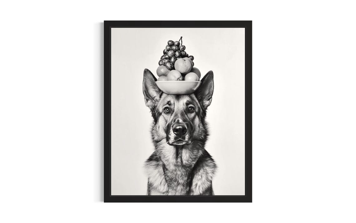 German Shepherd Balancing Fruit Bowl on Head Funny Kitchen Dog Poster