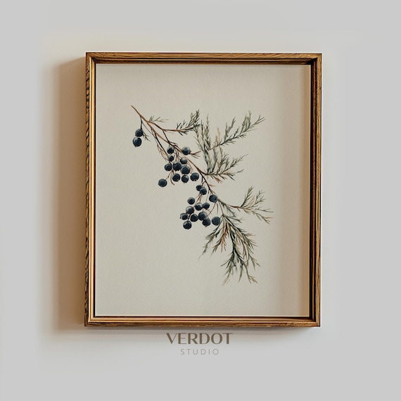 Winter Juniper Berries Christmas Art Print
