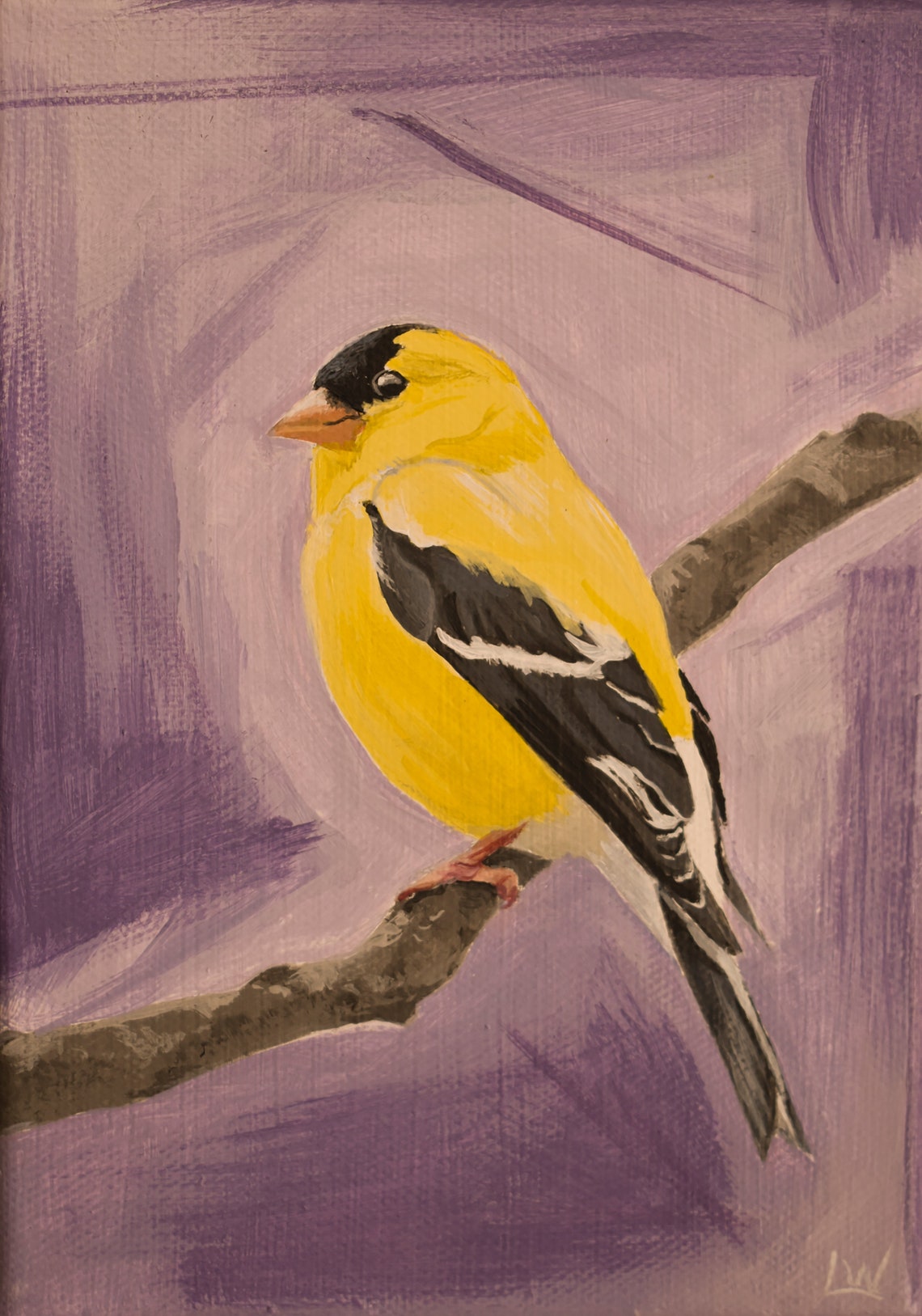 Bright American Goldfinch Perched on Branch Purple Background Poster