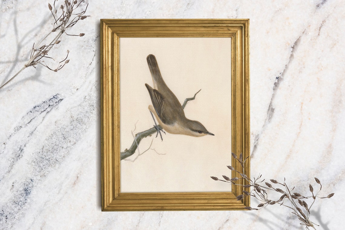 Bird Art Print Warbler Oil Painting Print Small Bird Oil Painting Little Bird Oil Painting Unframed Original Oil Art Print
