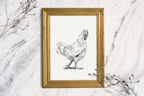 Rooster Ink Sketch Standing Chicken Minimalist Farm Animal Wall Art Print