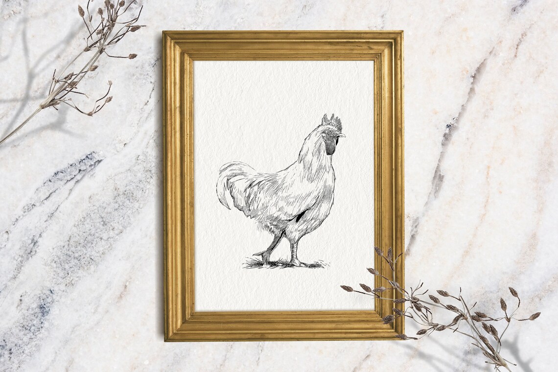 Rooster Ink Sketch Standing Chicken Minimalist Farm Animal Wall Art Print