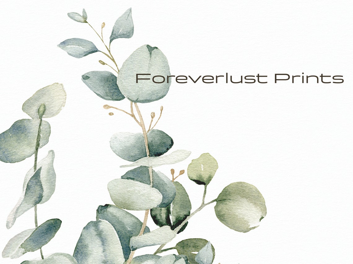 Eucalyptus Sprigs Sage Green Watercolor Minimalist Botanical Art Print - Image 2