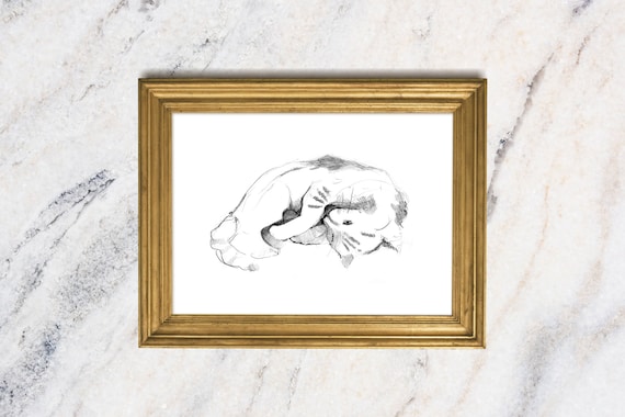 Sleeping Cat Pencil Sketch Minimalist Line Drawing Fine Art Animal Print