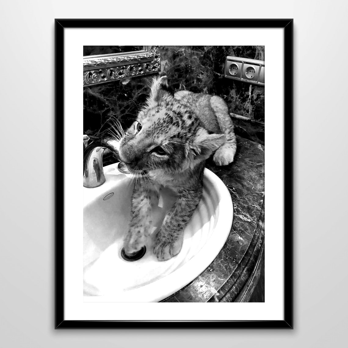 Lion Cub In Bathroom Sink Funny Black And White Animal Poster - Image 4