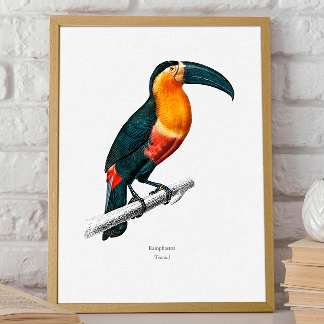 Toucan Print Toucan Illustration Of Toucan Wall Art Tropical Bird Print Vintage Animal Illustration Exotic Bird Wall Art Bird Poster Wbird 1 - Image 2