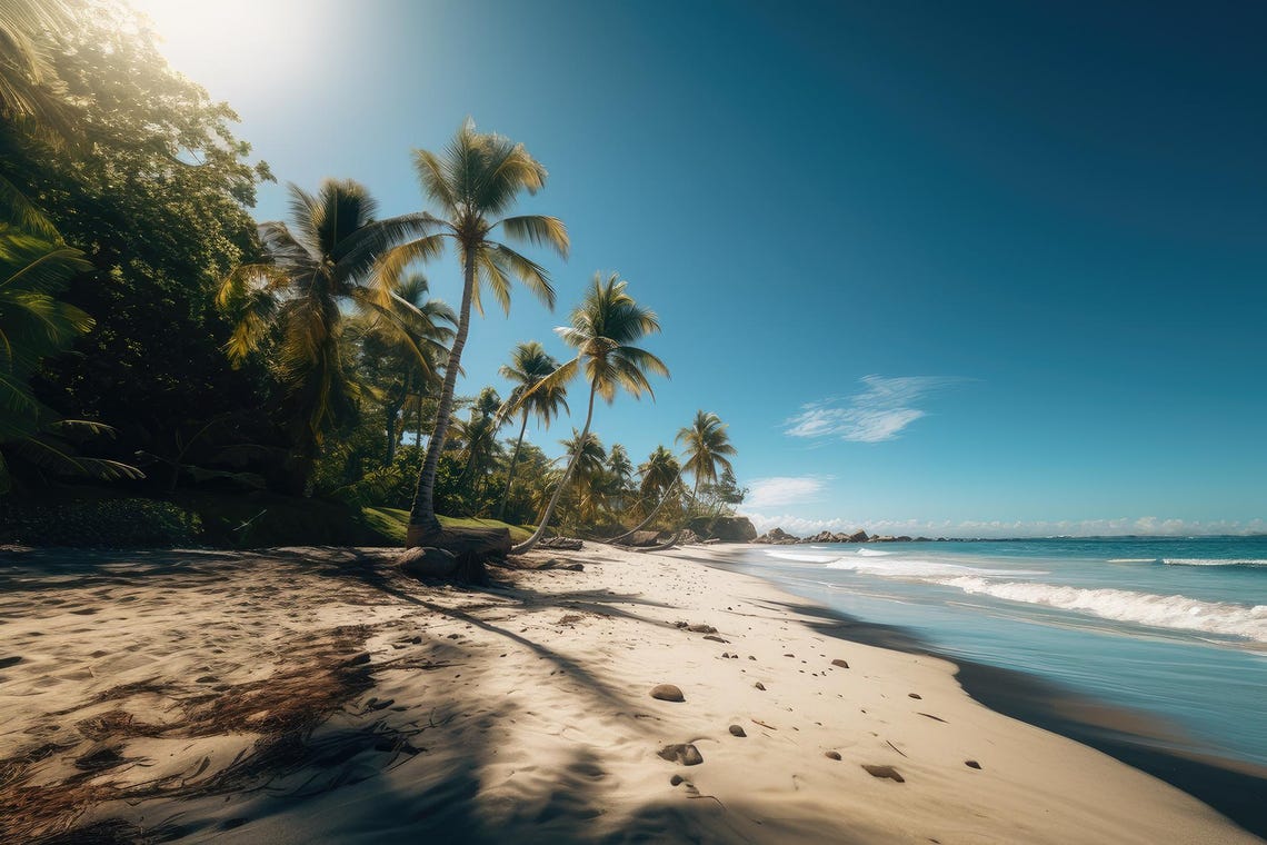 Sunny Tropical Beach With Tall Palms and Sparkling Clear Water Poster