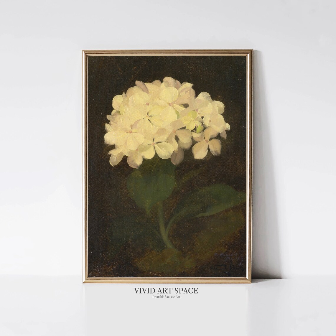 White Hydrangea Dark Floral Wall Art Print