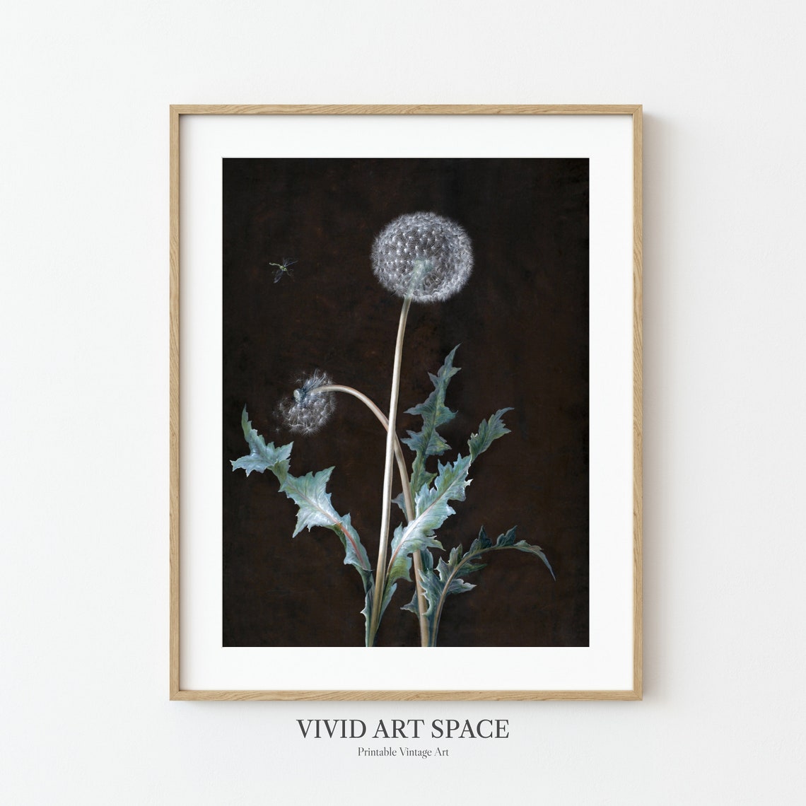 Dandelion Seed Head on Dark Moody Botanical Still Life Art Poster - Image 2