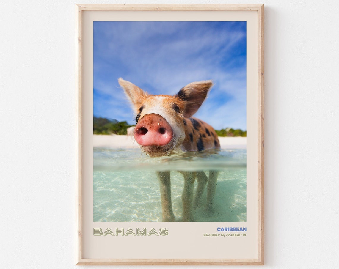Bahamas Travel Poster Bahamas Print Bahamas Photo Print Bahamas Wall Decor Bahamas Travel Art Bahamas Bahamas Picture Bahamas 3