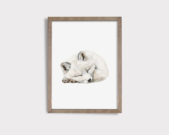 Sleeping Arctic Fox Print Arctic Fox Nursery Print Cute Sleeping Animal Fox Nursery Decor Arctic Nursery Decor Arctic Nursery Art
