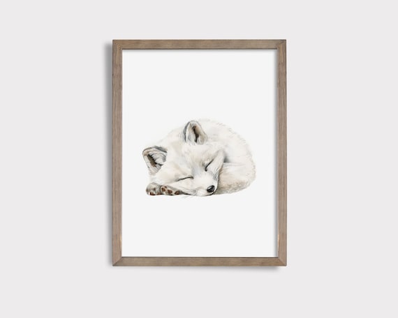 Sleeping Arctic Fox Pup Watercolor Cute Woodland Nursery Poster