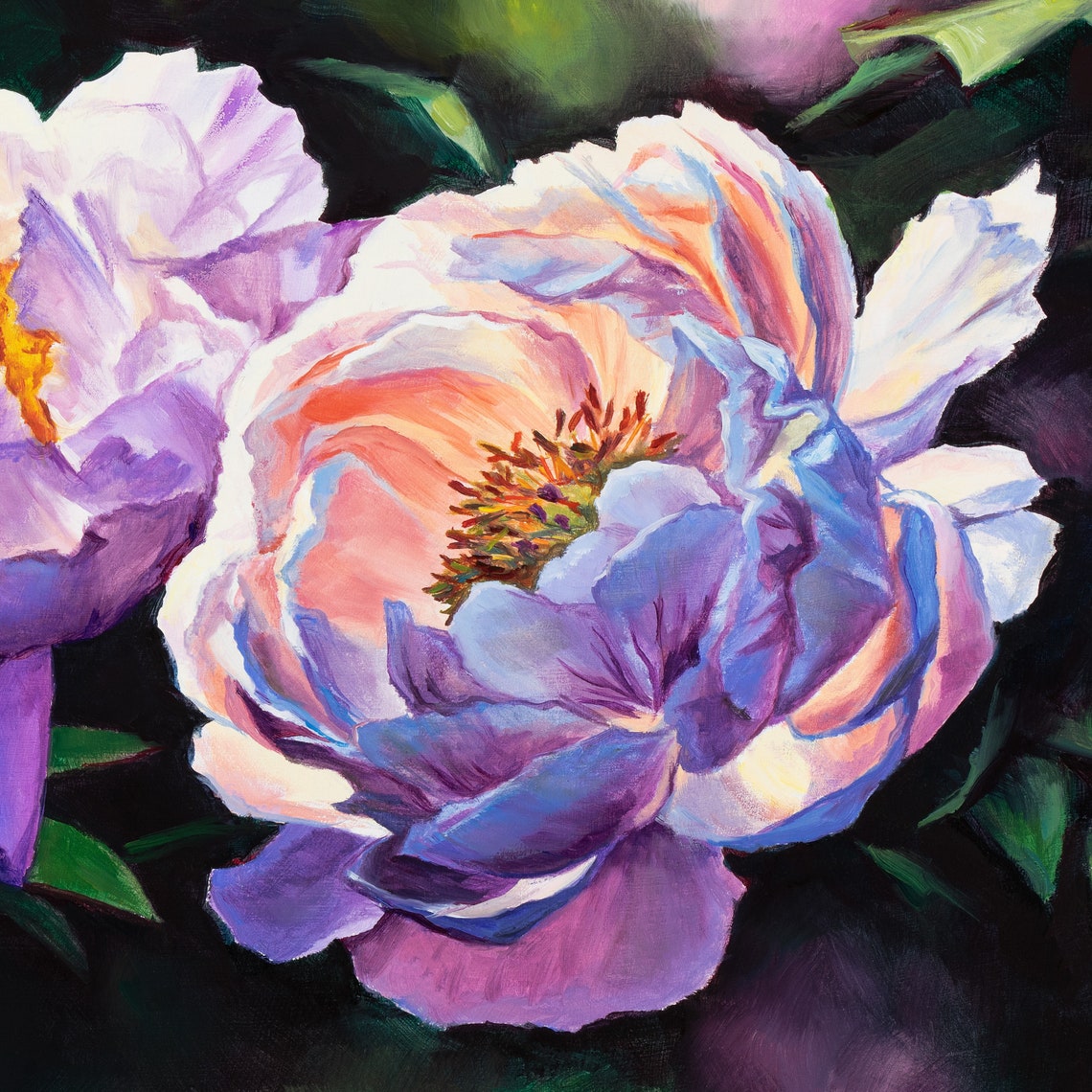 Pink Peony Blossoms Blooming Against a Dark Shadowy Garden Poster - Image 2
