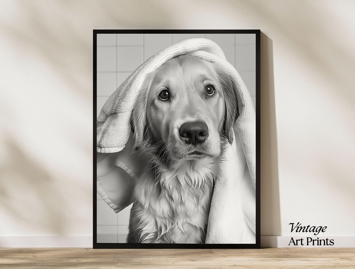 Golden Retriever Puppy With Towel On Head Black And White Dog Poster