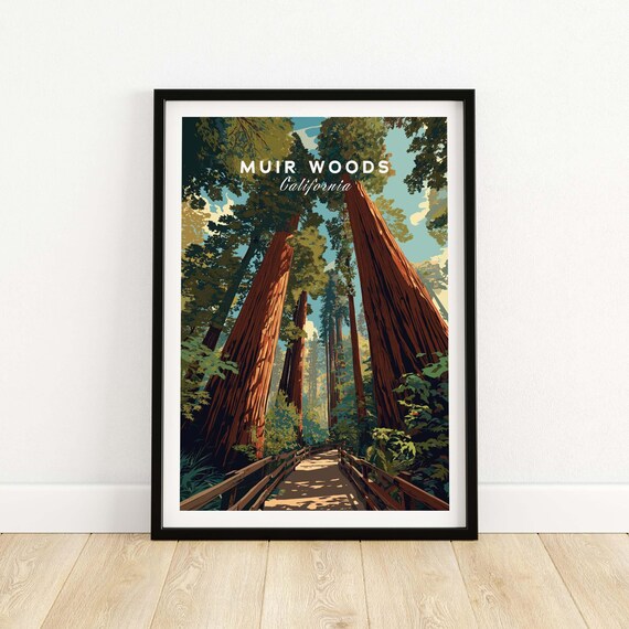Muir Woods Redwood Forest Trail Art Print, Nature Scene