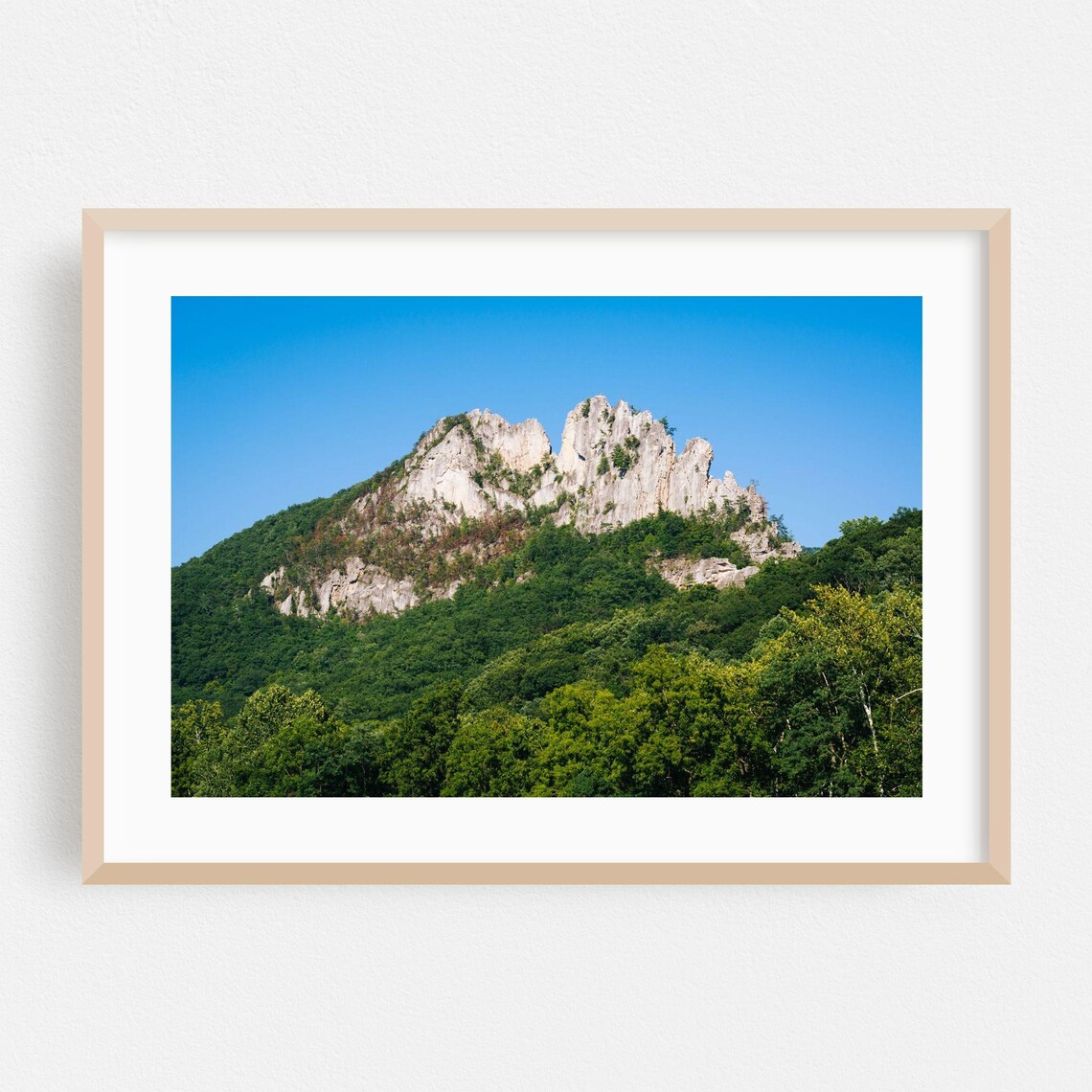 West Virginia Rocky Mountain Ridge Forest Nature Photo Print