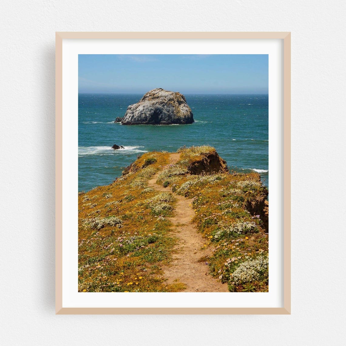 Bodega Bay Coastal Trail to Sea Stack Ocean View Photo Poster