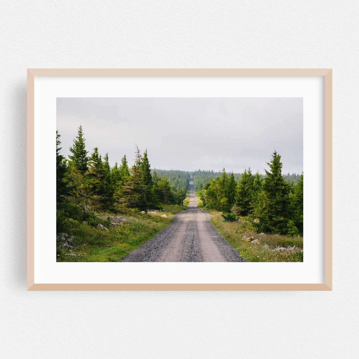 Gravel Country Road Through Tall Evergreen Forest Scenic Nature Poster