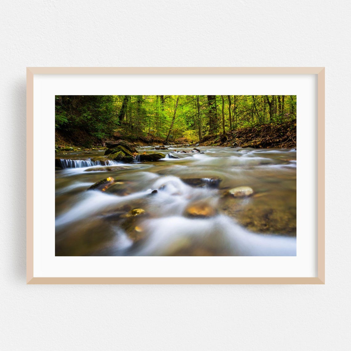 Autumn Pennsylvania Stream Flowing Through Colorful Forest Poster
