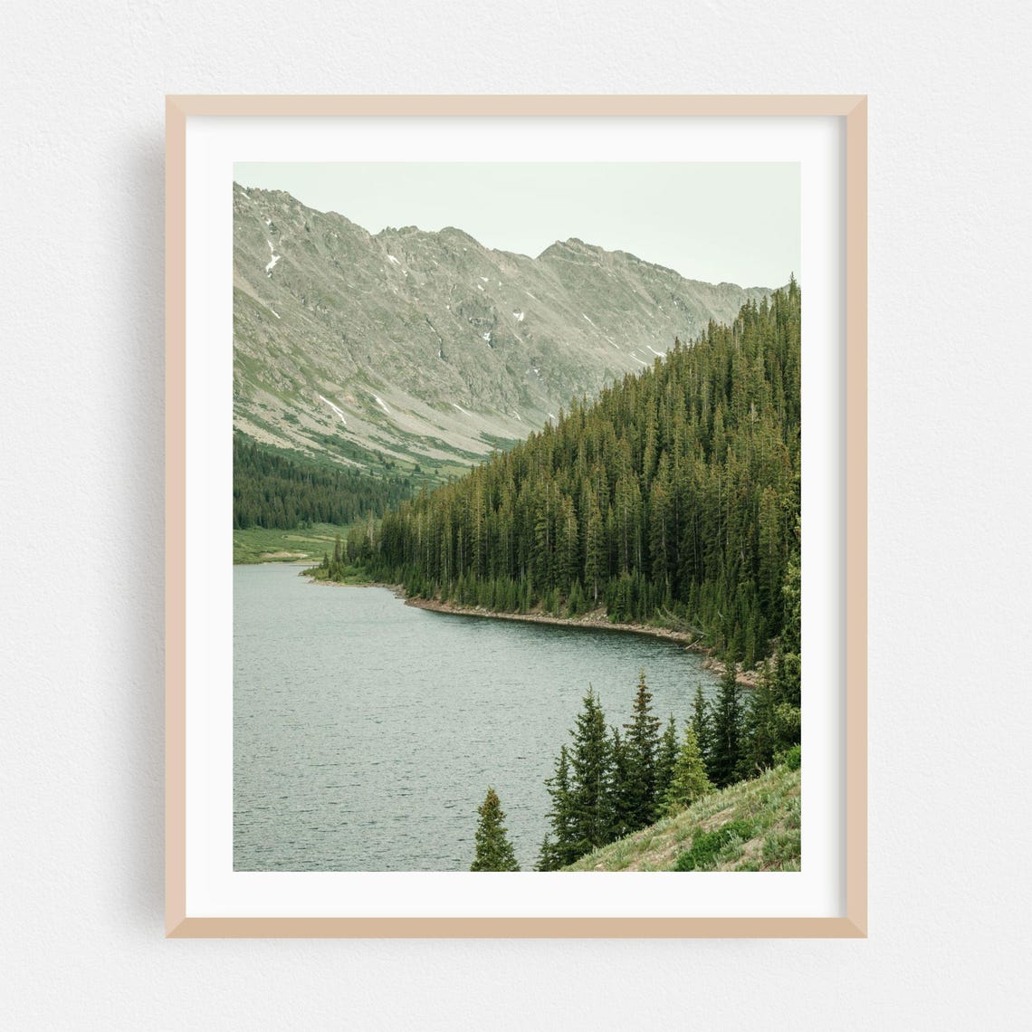 Colorado Mountain Lake with Pine Forest Landscape Photo Poster
